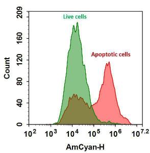 Annexin v-mfluor/tra 20081