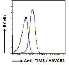 Anti-HAVCR2 Antibody (A84174) - Flow cytometric analysis of paraformaldehyde fixed HepG2 cells (blue line), permeabilized with 0.5% Triton