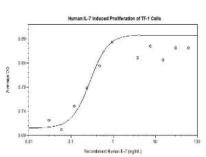Human recombinant IL-7 (from <i>E. coli</i>)