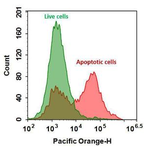 Annexin v-mfluor/tra 20082