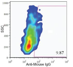 Anti-Pancreatic alpha cell marker Mouse Monoclonal Antibody [clone: DHIC2-2C12]