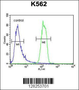 Anti-OR2M3 Rabbit Polyclonal Antibody (APC (Allophycocyanin))