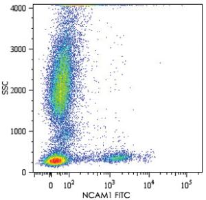 Anti-NCAM1 Mouse Monoclonal Antibody (APC (Allophycocyanin)) [clone: MEM-188]