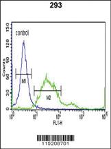 Anti-PROX-1-S514 Rabbit Polyclonal Antibody