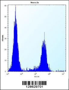 Anti-CF153 Rabbit Polyclonal Antibody (FITC (Fluorescein Isothiocyanate))