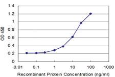 Anti-AKAP7 Mouse Monoclonal Antibody [clone: 1F9]