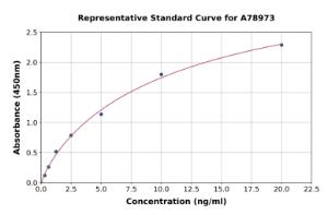 Representative standard curve for Mouse Wnt6 ELISA kit (A78973)