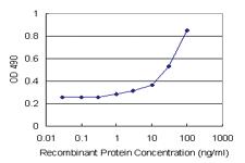 Anti-FIGF Polyclonal Antibody Pair