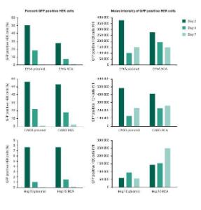 illustra™ TempliPhi™ Sequence Resolver Kit