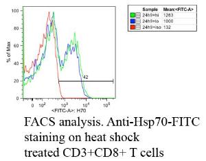 Anti-HSP70 Mouse Monoclonal Antibody [clone: C92F3A-5]