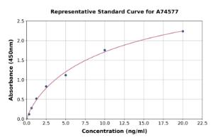 Representative standard curve for Mouse HEXA ELISA kit (A74577)