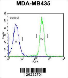 Anti-CCDC101 Rabbit Polyclonal Antibody (HRP (Horseradish Peroxidase))