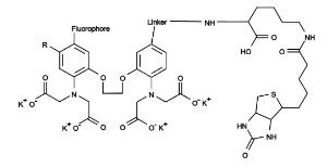 Cal-520/re g -biocyti 20606