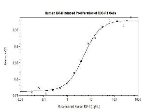 Human recombinant IGF-II (from <i>E. coli</i>)