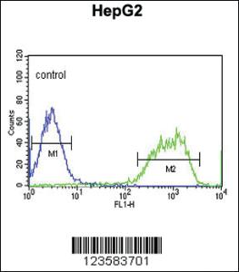 Anti-PXMP2 Rabbit Polyclonal Antibody