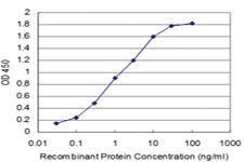 Anti-SPI1 Mouse Monoclonal Antibody [clone: 2G1]