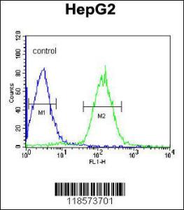 Anti-PLTP Rabbit Polyclonal Antibody