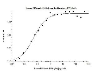 Human FGF-basic 154 inducedproliferation of 3T3 cells