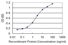 Anti-SH3BP5 Mouse Monoclonal Antibody [clone: 1D5]