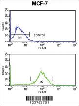 Anti-DSTN Rabbit Polyclonal Antibody