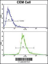 Anti-BDNF Rabbit Polyclonal Antibody