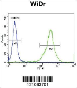 Anti-FAM3B Rabbit Polyclonal Antibody