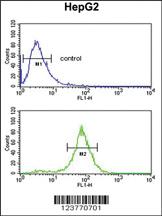 Anti-ELOVL2 Rabbit Polyclonal Antibody