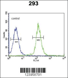 Anti-CDC45 Rabbit Polyclonal Antibody