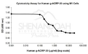 Human Recombinant gACRP-30 (from <i>E. coli</i>)