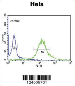 Anti-OR4Q3 Rabbit Polyclonal Antibody