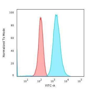 Anti-Moesin antibody