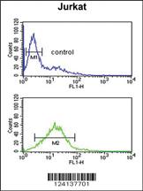 Anti-TRIM2 Rabbit Polyclonal Antibody