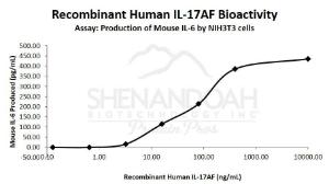 Human recombinant IL-17AF (from <i>E. coli</i>)