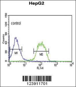 Anti-FBXO3 Rabbit Polyclonal Antibody