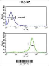 Anti-CD1A Rabbit Polyclonal Antibody