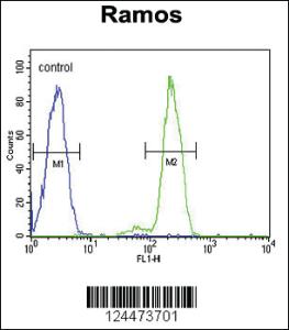 Anti-DCP1B Rabbit Polyclonal Antibody