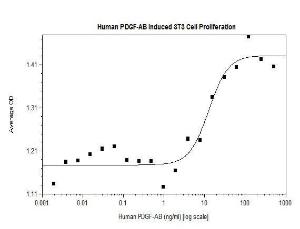 Human recombinant PDGF-AB (from <i>E. coli</i>)