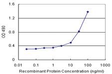 Anti-RAB7B Antibody Pair