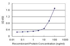 Anti-FAM200A Polyclonal Antibody Pair