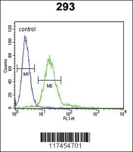 Anti-MPP6 Rabbit Polyclonal Antibody