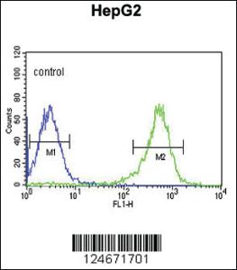 Anti-PYCR1 Rabbit Polyclonal Antibody