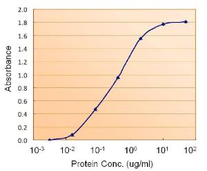 Anti-TTR Goat Polyclonal Antibody