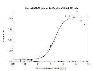 Human recombinant PDGF-BB (from <i>E. coli</i>)