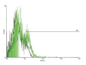 Anti-SPN Mouse Polyclonal Antibody