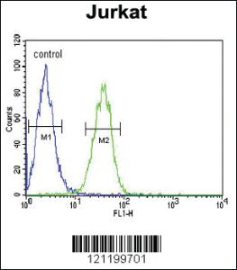 Anti-COMP Rabbit Polyclonal Antibody