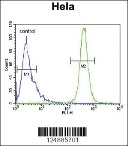 Anti-IMP3 Rabbit Polyclonal Antibody