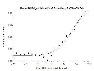 Human recombinant RANK ligand (from <i>E. coli</i>)