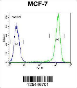 Anti-SGMS2 Rabbit Polyclonal Antibody (FITC (Fluorescein Isothiocyanate))