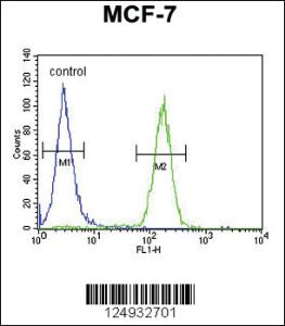 Anti-THOC7 Rabbit Polyclonal Antibody