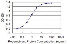 Anti-NDUFA8 Mouse Monoclonal Antibody [clone: 2E10]